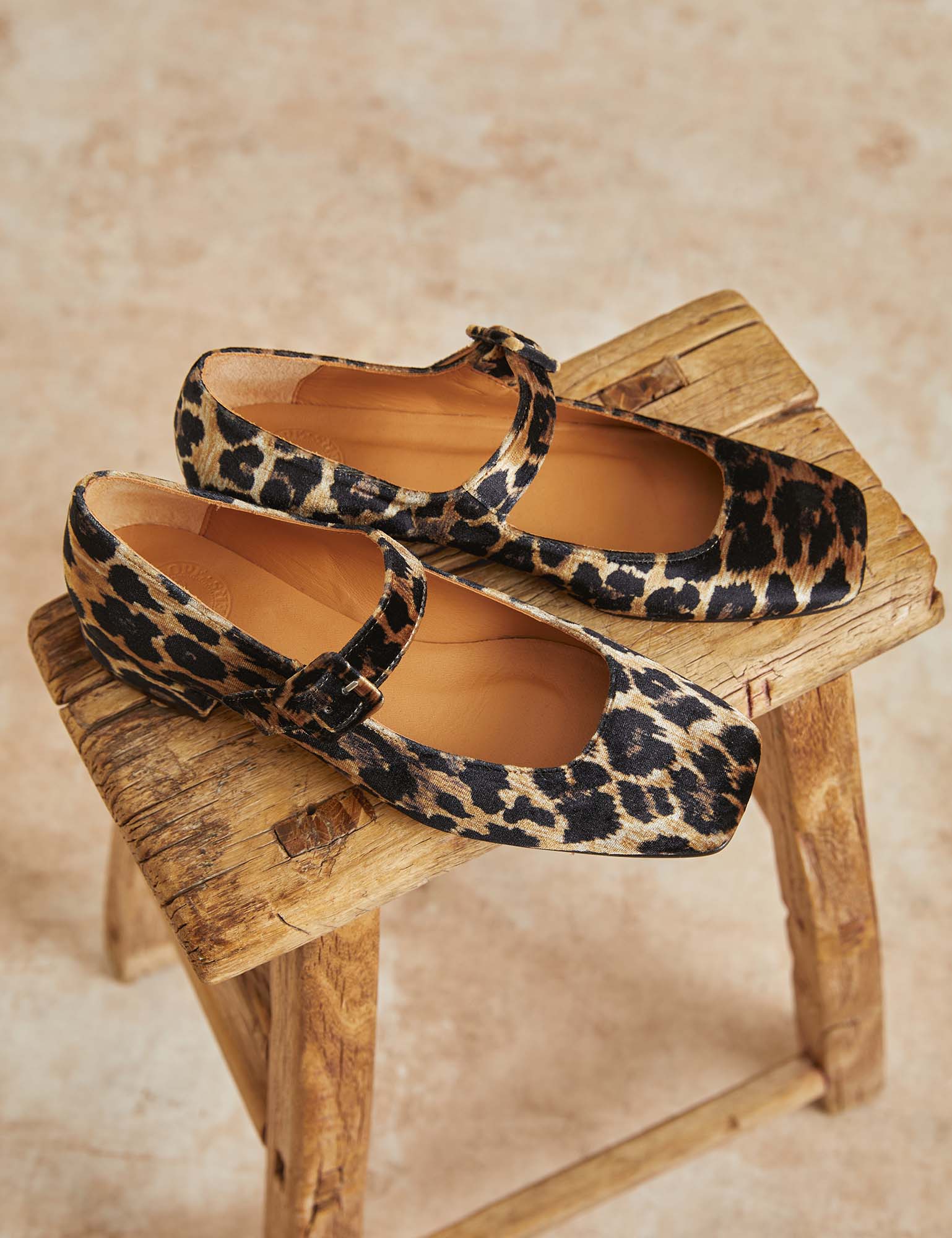 Low Mary Jane Leopard Velvet Shoe