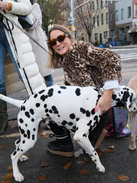 Penelope Chilvers US Road Trip