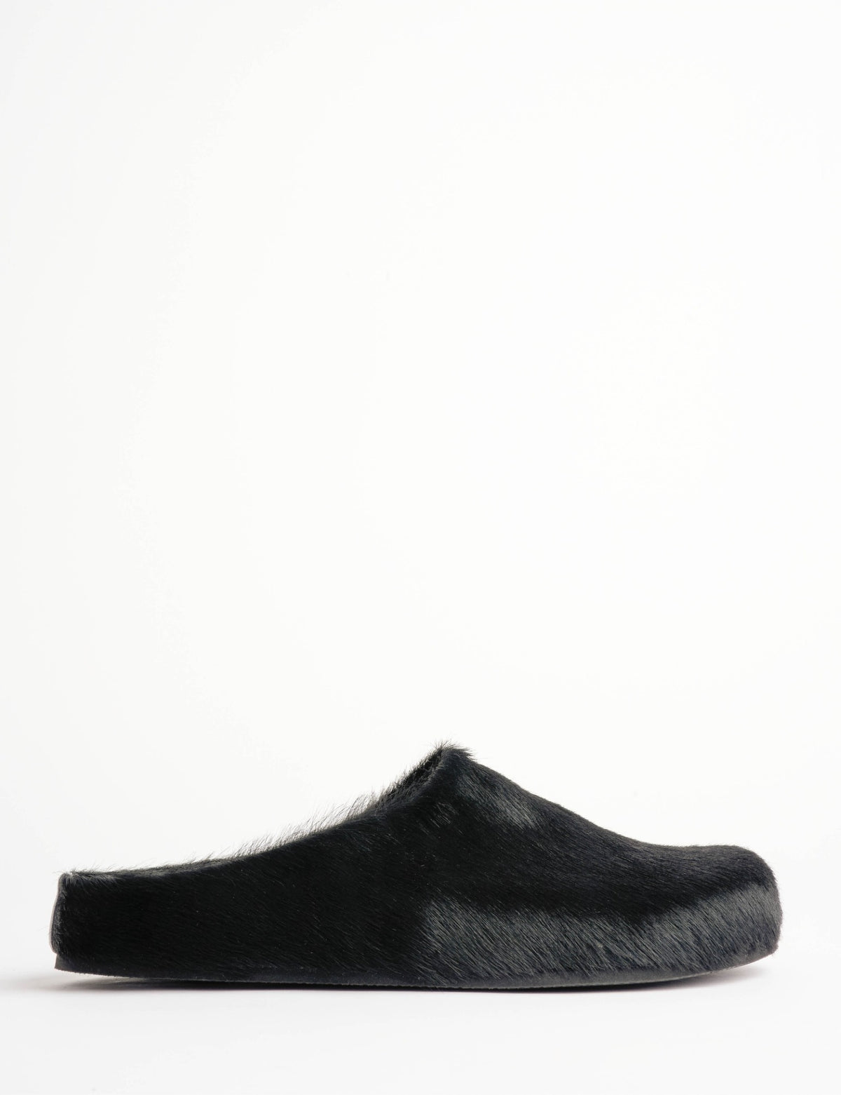 Penelope Chilvers US Arctic Pony Slide