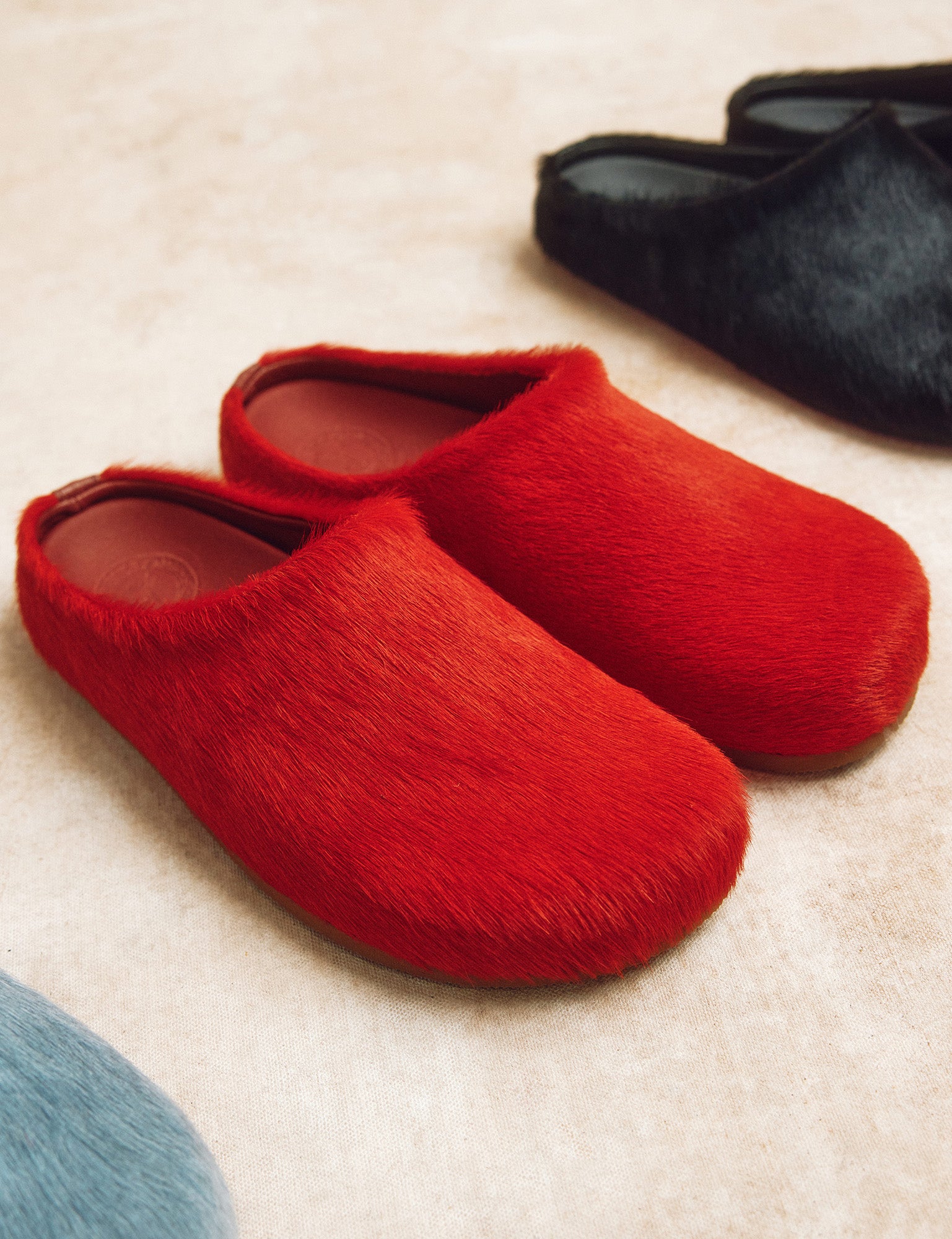 Arctic Pony Slide