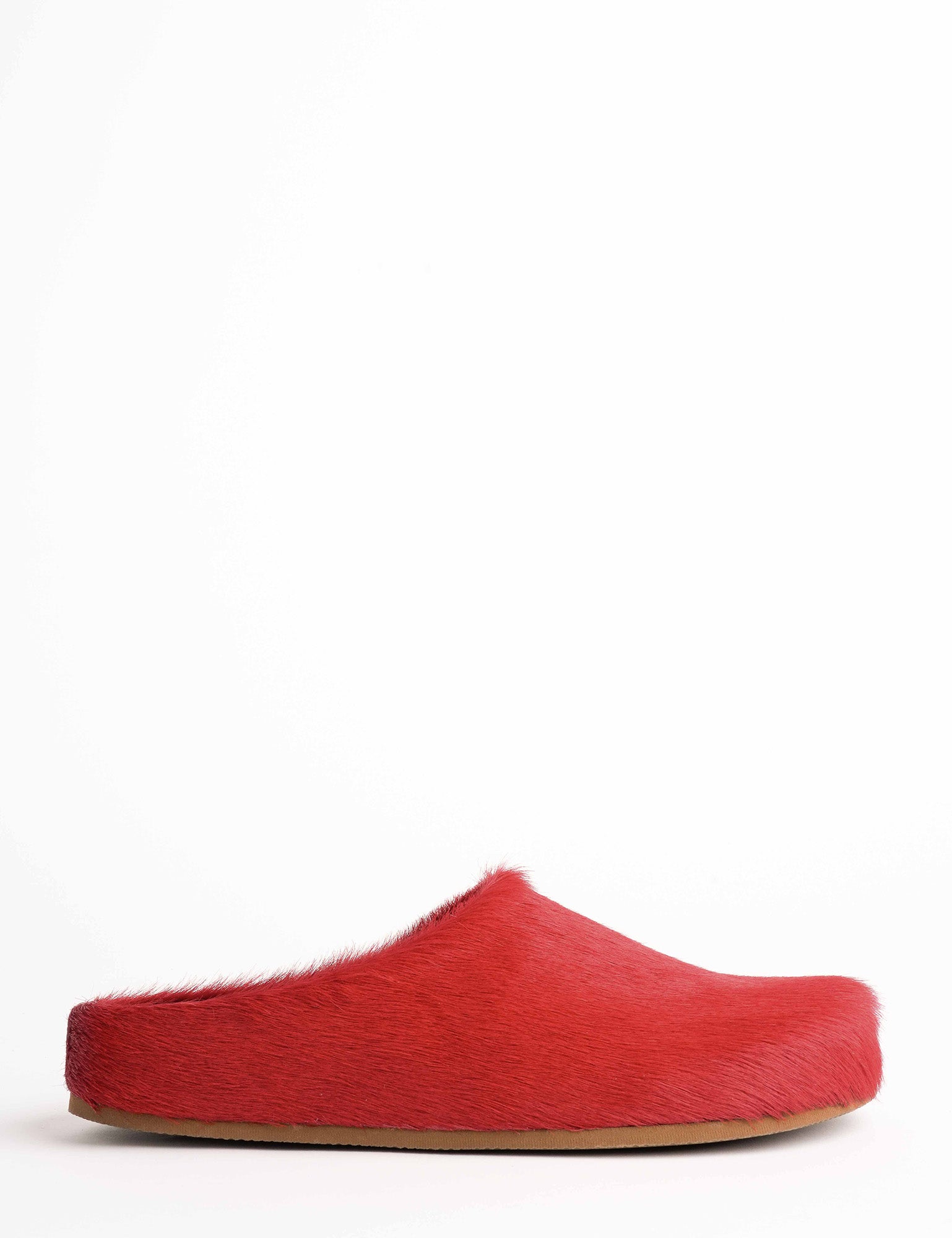 Arctic Pony Slide