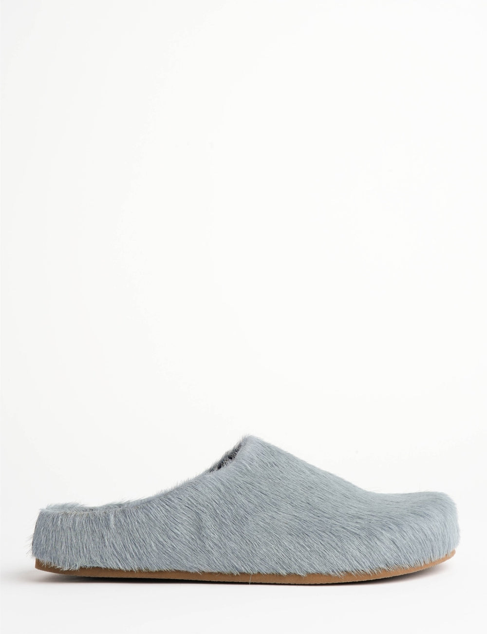 Arctic Pony Slide