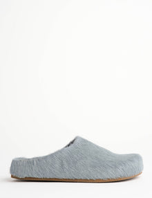 Arctic Pony Slide
