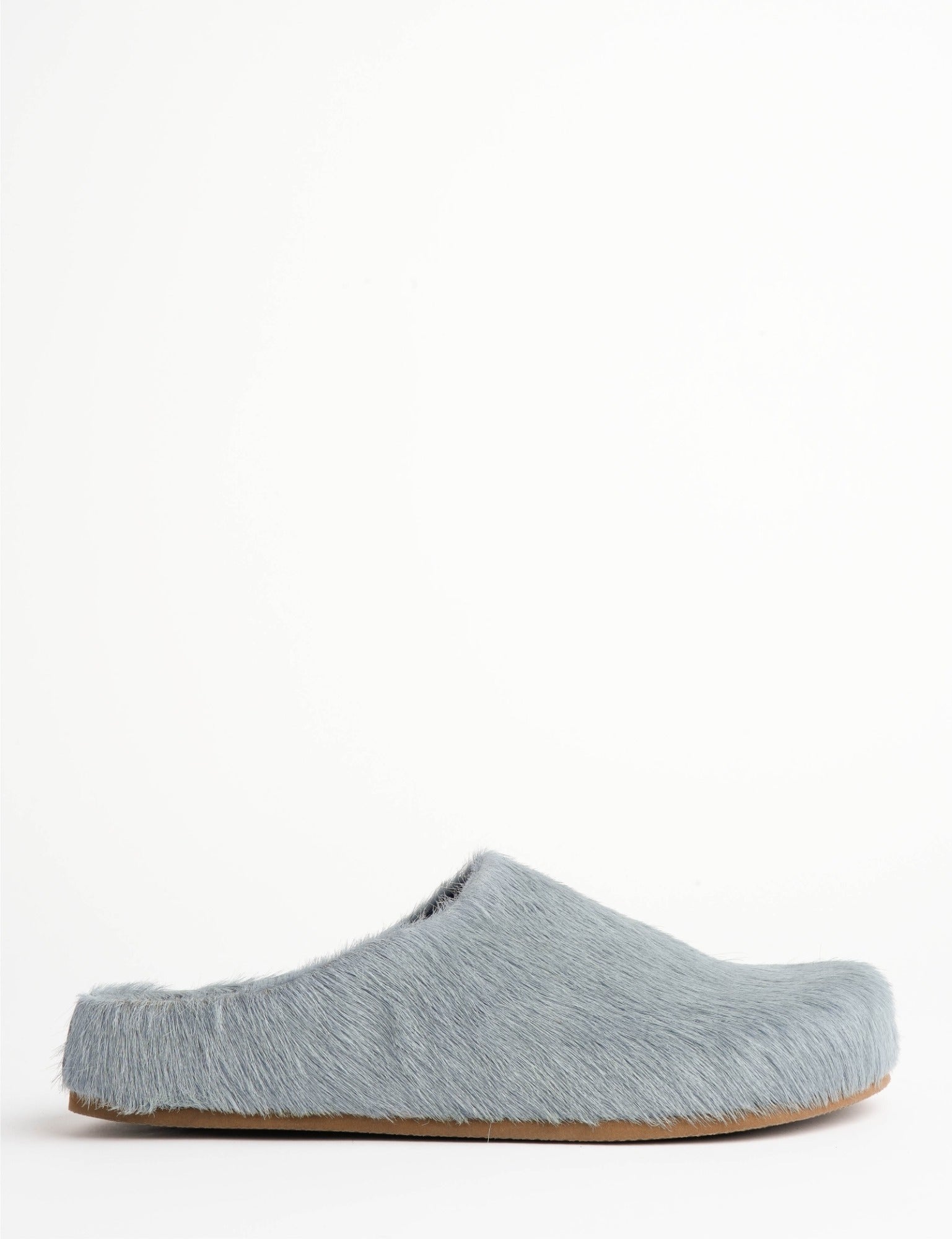 Arctic Pony Slide