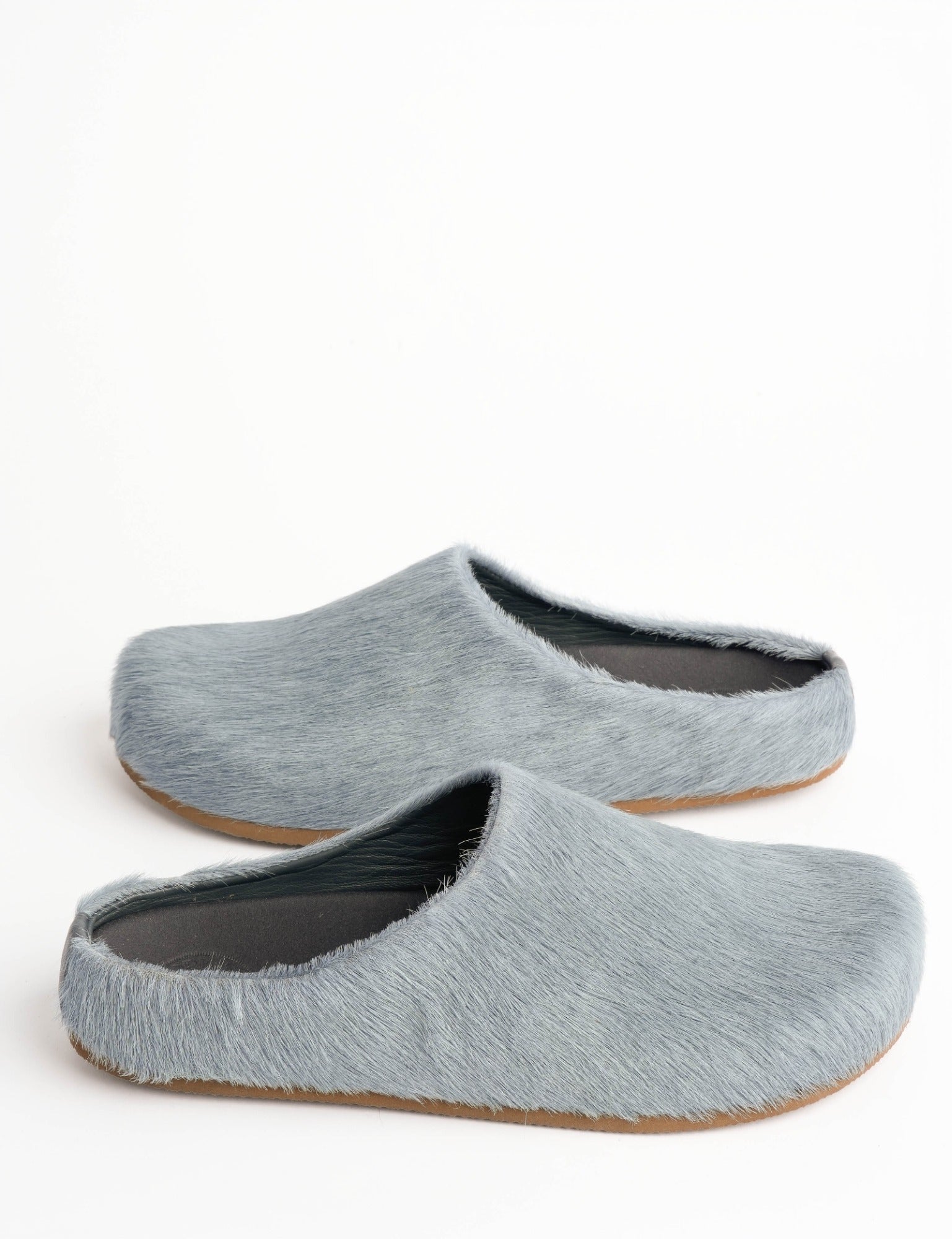 Arctic Pony Slide