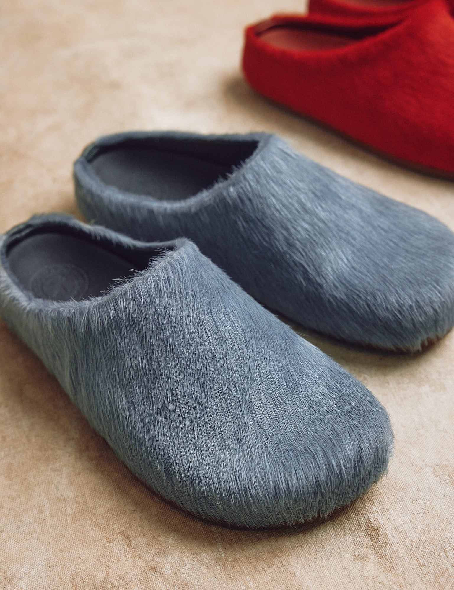 Arctic Pony Slide