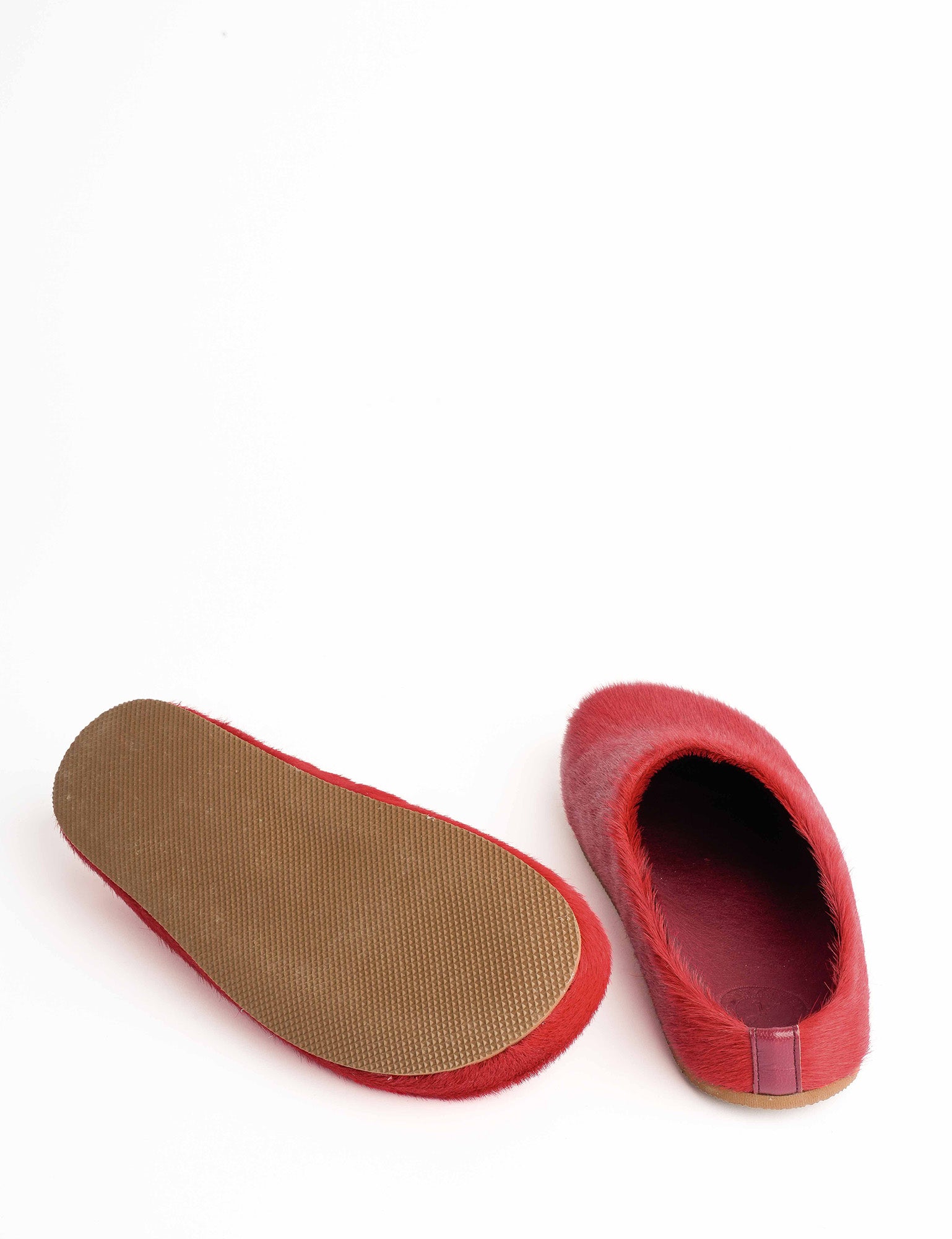 Arctic Pony Slide