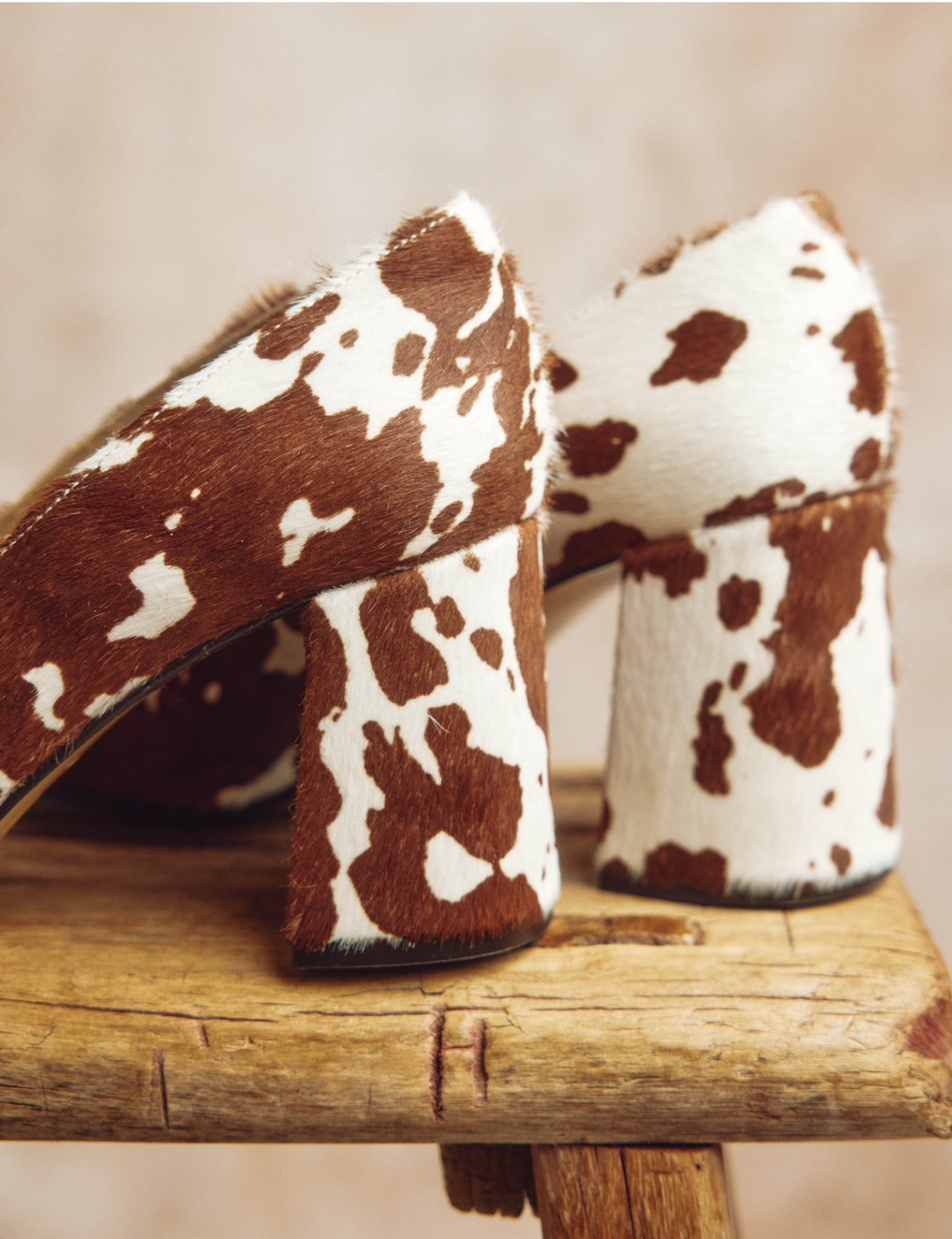Gamine Friesian Pony Shoe