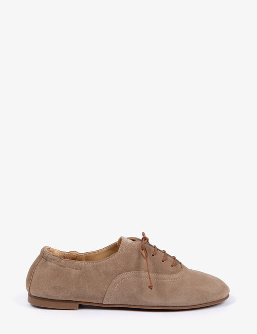 Softie Lace Up Suede Shoe